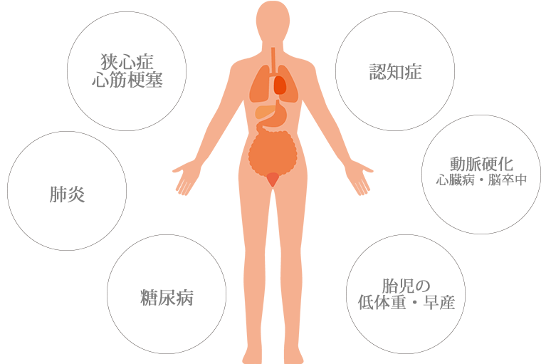 歯周病が全身に及ぼす影響