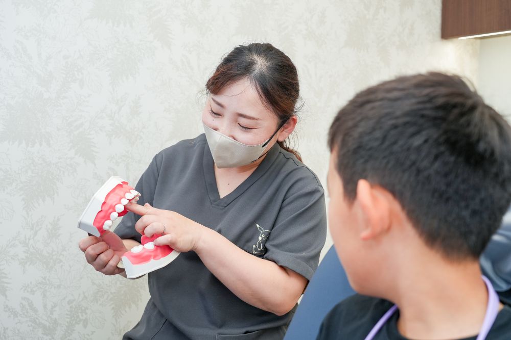 歯学博士(DDS,PhD)　高橋智世