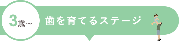 3歳~歯を育てるステージ